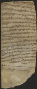 131 C.10.CXXXIr, Investitura fatta da Wiberto vescovo a favore di Rinaldo e Pietro fratelli e di Martino da Casaciclo, Modena, 1045, dic.