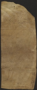 131 C.10.CXXXIv, Investitura fatta da Wiberto vescovo a favore di Rinaldo e Pietro fratelli e di Martino da Casaciclo, Modena, 1045, dic.