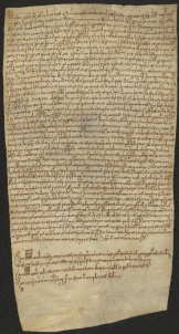 137 C.11.CXXXVIIr, Donazione fatta da Geminiano da Albareto, a favore di Wiberto vescovo, Modena, 1050, lug.