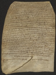 138 C.11.CXXXVIIIr, Donazione fatta da Ramfredo e da Gisa da Cinzanello a Wiberto vescovo, Modena, 1050, nov. 23