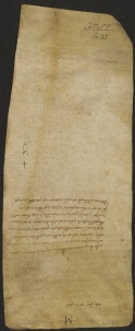 150 C.13.CLv, Investitura fatta da Eriberto vescovo a favore di Leone da Porcile e di alcuni altri, Modena, 1056, ott.