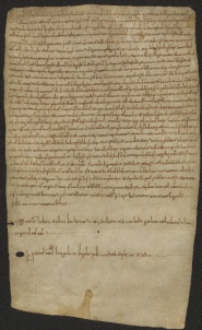 151 C.14.CLIr, Investitura fatta da Eriberto vescovo a favore di Everardo da Vignola, Modena, 1056, ott. 18