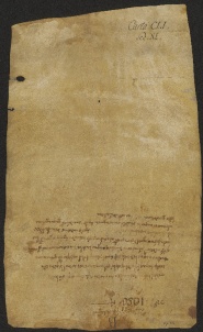 151 C.14.CLIv, Investitura fatta da Eriberto vescovo a favore di Everardo da Vignola, Modena, 1056, ott. 18
