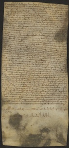 160 C.15.CLXr, Investitura fatta da Eriberto vescovo a favore di Giovanni e Bonilda coniugi da Cittanova, Porcile, 1057, lug.