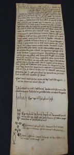 137 D.25.CXXIVr, Copia dell'investitura fatta da Ribaldo vescovo a favore di Alberto da Rio Torto e suo fratello Ubaldo, XIII sec.