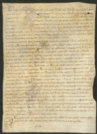 142 D.26.CXXIXr, Copia della conferma d'investitura fatta da Mosè arcivescovo di Ravenna a favore di Ribaldo vescovo di Modena, XIII secolo