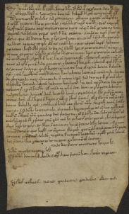 107 D.20.XCIXr, Investitura fatta da Ribaldo vescovo a favore di Alberto dal Porcile, Modena, 1138, set. 11
