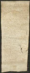 145 E.1.CXXXIr, Donazione e conferma di alcuni beni fatta da Ribaldo vescovo a favore della chiesa di Sant'Agnese di Ravenna, Ravenna, 1146, apr. 30