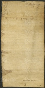 160 E.3.CXLIv, Investitura fatta dal Capitolo a favore dei fratelli Pietro e Negro di Nonantola, Modena, 1151, ago. 5