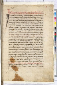 ACMo O.II.11 - pag. 301r