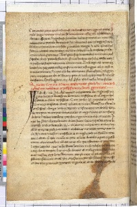 ACMo O.II.11 - pag. 301v