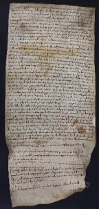 2 B.5.IIv, Donazione fatta da Pietro e Rozza da Persiceto a Varino vescovo, Modena, 1003, apr. 18