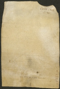 126 D.24.CXVIIv, Originale del precedente, Modena, 1141, dic. 30