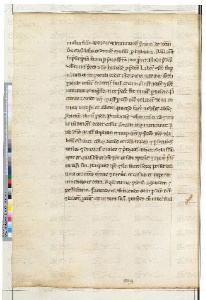 ACMo O.II.11 - pag. 206v