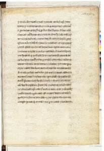 ACMo O.II.11 - pag. 256r