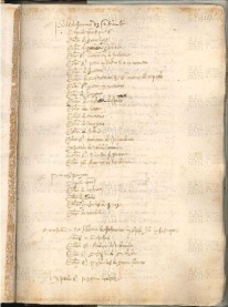 ACMo O.V.32 - pag. 111r