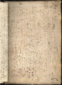 ACMo O.V.32 - pag. contropiatto posteriore
