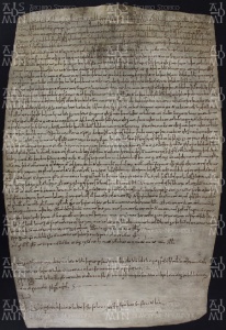 25 A.15.XXVr, Permuta di terre seguita tra Ildeprando vescovo e Audibile da Bazzovara, Modena, 975, nov. 21