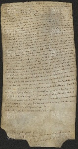 76 B.20.LXXVIr, Concessione di terre fatta da Ingone vescovo a favore di Andrea, Pietro e Domenico, Modena, 1033, gen. 13