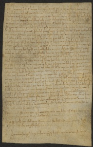 112 C.6.CXIIr, Acquisto fatto da Rodolfo di una pezza di terra, vendutagli da Martino, Cittanova, 1038, mar. 24