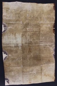 113 C.6.CXIIIv, Donazioni di corti tra il duca Bonifacio di Toscana e Wiberto vescovo, Cornigliano, 1038, set. 17