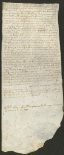 116 D.22.CVIIIr, Originale della pergamena precedente, Modena, 1141, nov. 30