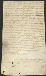 119 D.23.CXIr, Investitura fatta da Ribaldo vescovo a favore di Aigone e del figlio Alberto, Modena, 1141, mag. 11