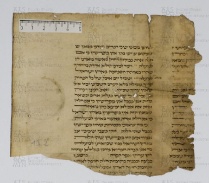 Pergamene ebraiche ACAMO 2-63, s.s - 13.2a