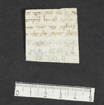 Pergamene ebraiche ACMO 1-103, App. 1-3 - pag. 100.4a