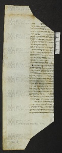 Pergamene ebraiche ACMO 1-103, App. 1-3 - pag. 70.2a
