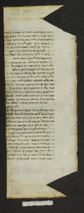 Pergamene ebraiche ACMO 1-103, App. 1-3 - pag. 78.2a