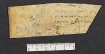 Pergamene ebraiche ACMO 1-103, App. 1-3 - pag. 95.3b