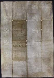 39 B.12.XXXIXv, Copia di detto privilegio, 1294, feb. 15