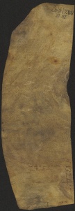 181 C.20.CLXXXIv, Investitura fatta da Eriberto vescovo a favore di Guido da Bazovara, Savignano, 1066, ott. 24