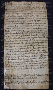 176 E.5.CLVr, Investitura spedita da Giovanni prete a Martino dal Danno, Porcile, 1156, feb.