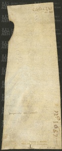 182 E.7.CLXIv, Investitura spedita da Ildeprando cardinale ad Alberto Grappa, Modena, 1156, mar. 19