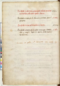 ACMo O.II.11 - pag. 21v