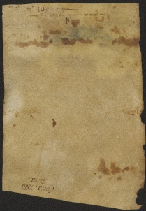 26 D.5.XXIIIv, Investitura fatta da Dodone vescovo a favore di Bernardo da Cortile, Modena, 1112, ot.. 22
