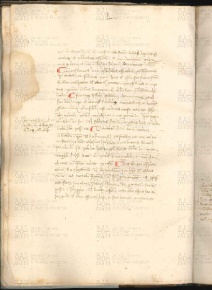 ACMo O.V.32 - pag. 025v