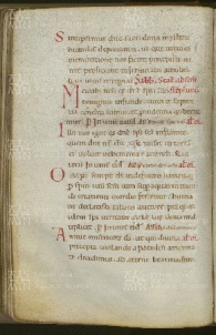 081v
