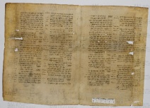 Pergamene ebraiche ACAMO 2-63, s.s - 51.1b