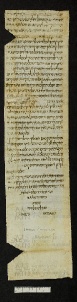 Pergamene ebraiche ACMO 1-103, App. 1-3 - pag. 59.2a