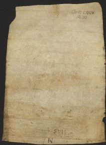 124 C.8.CXXIVv, Investitura fatta da Wiberto vescovo a favore di Restabo e di Pietro da Cinzano, Vignola, 1041, ago. 5