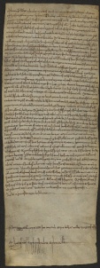 126 C.9.CXXVIr, Investitura fatta da Wiberto vescovo a favore di Venerando e Martino da Plumbarino, Vignola, 1041, ago. 26