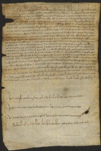 96 C.3.XCVIr, Donazione fatta da Gausberto da Cinzanello a Ingone vescovo, Modena, 1035, mar. 11