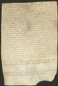126 D.24.CXVIIr, Originale del precedente, Modena, 1141, dic. 30