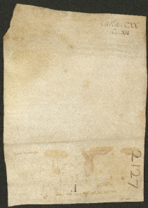 131 D.24.CXXv, Investitura fatta da Ribaldo vescovo a favore di Giovanni e Gandolfo da Polinago, Modena, 1143, giu. 17