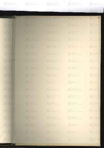 ACMo O.I.33 - pag. contropiatto posteriore