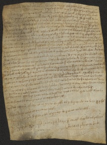 154 C.14.CLIVr, Donazione fatta da Sigezone, Obizo e Ingelberto, a favore della Chiesa di S. Geminiano, Cuspiano, 1057, feb. 22