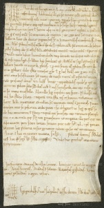 163 E.3.CXLIVr, Investitura fatta da Ildeprando cardinale a favore di Tiniolo da Centoria, Modena, 1154, feb. 24
